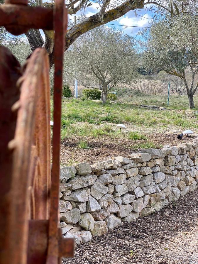 Gite Romarin Avec Spa Saint-Jean-de-Barrou Kültér fotó